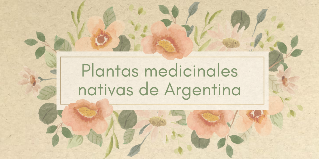 Plantas medicinales nativas de Argentina
