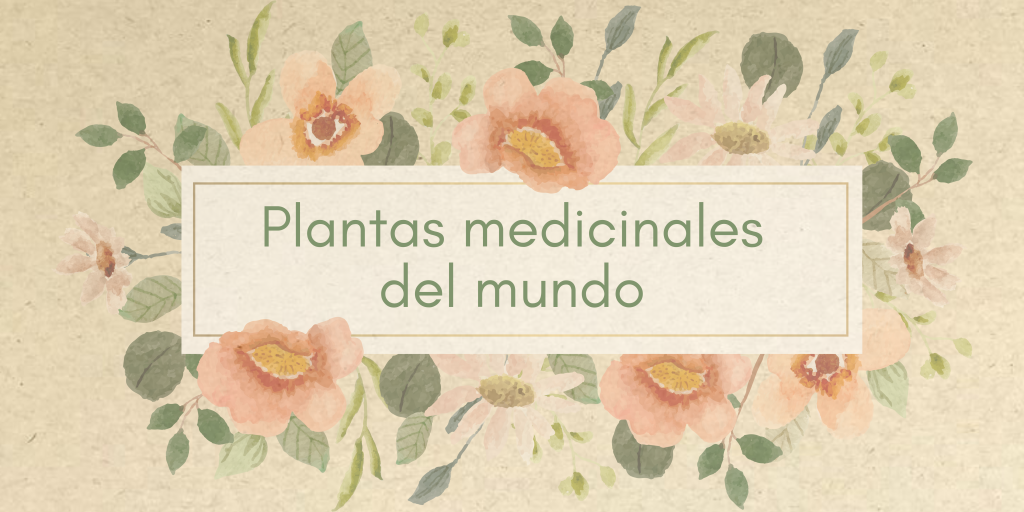 Plantas medicinales del mundo